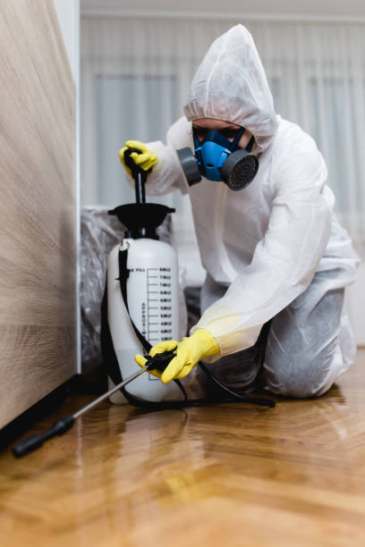 Best Real Estate Pest Inspections  in St Helens, OR